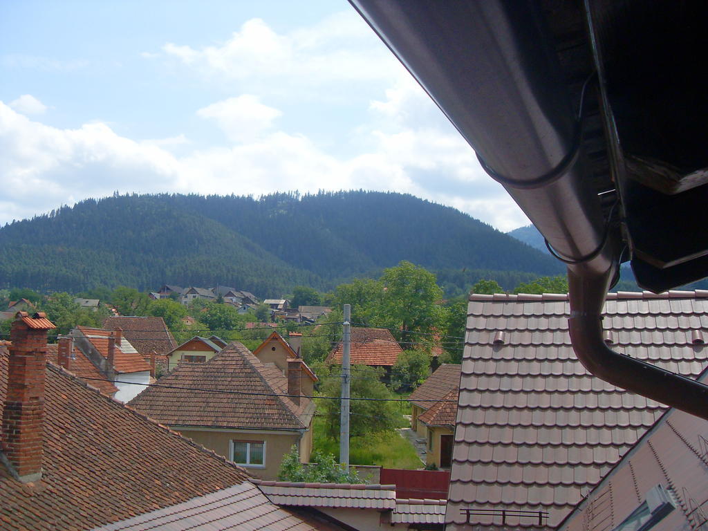 Pensiunea Haiduc Sacele Brasov Dış mekan fotoğraf