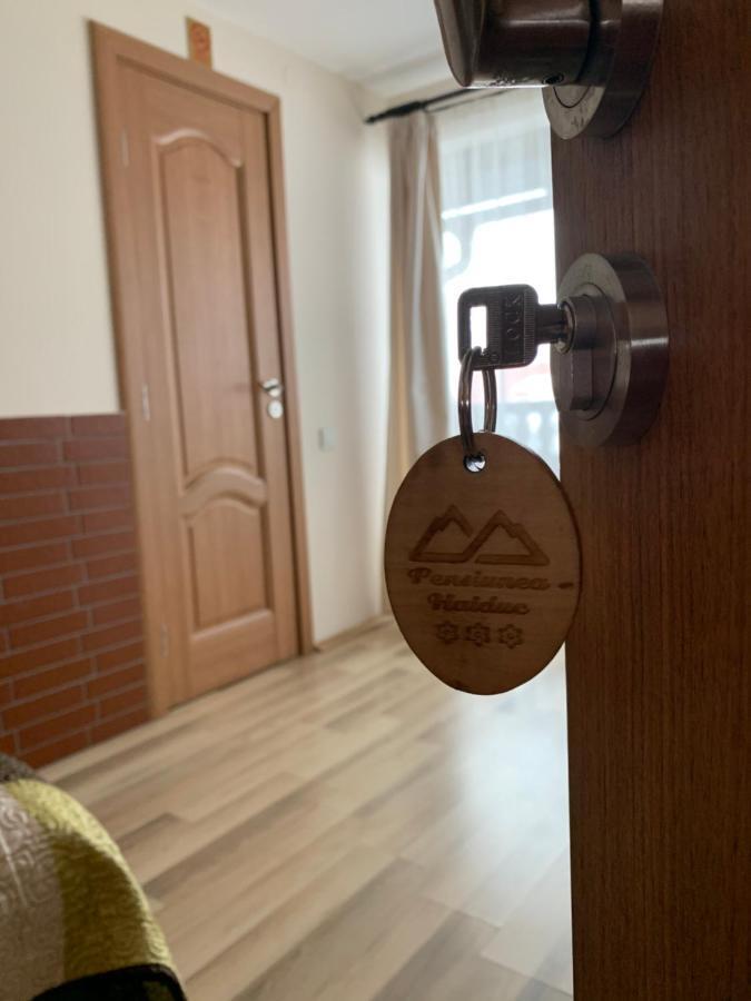 Pensiunea Haiduc Sacele Brasov Dış mekan fotoğraf